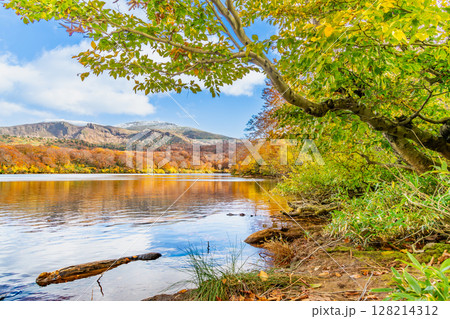 秋田　紅葉に染まる須川湖と冠雪の栗駒山 128214312