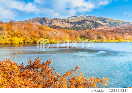 秋田　紅葉に染まる須川湖と冠雪の栗駒山 128214314
