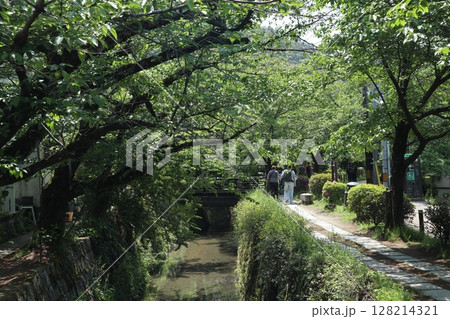 新緑あふれる京都銀閣寺 128214321