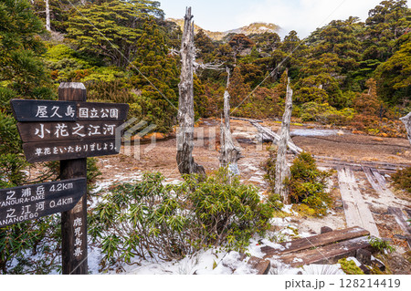 雲上の楽園 小花之江河 世界自然遺産屋久島(冬 雲上の楽園 小花之江河 世界自然遺産屋久島(冬 128214419