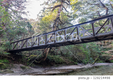 橋梁　淀川渓谷　世界自然遺産屋久島(冬 128214498