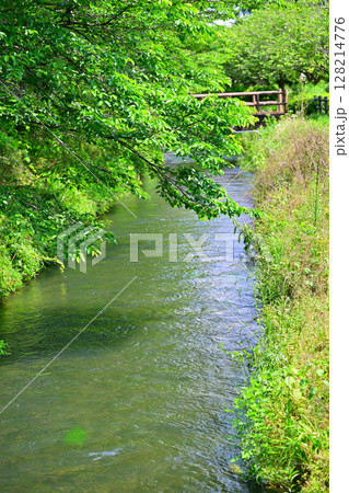 小倉堰からの取水用水路 思川 西方総合公園 栃木市 小倉堰からの取水用水路 思川 西方総合公園 栃木市 128214776