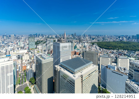 東京新宿から渋谷 六本木 丸の内を望む 2025 東京新宿から渋谷 六本木 丸の内を望む 2025 128214951
