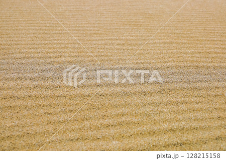 砂浜の風紋 128215158