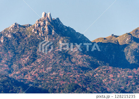 屋久島世界自然遺産　翁岳の雄姿(冬) 128215235