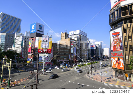 すすきの交差点（地域スポット 周辺施設シリーズ） 128215447