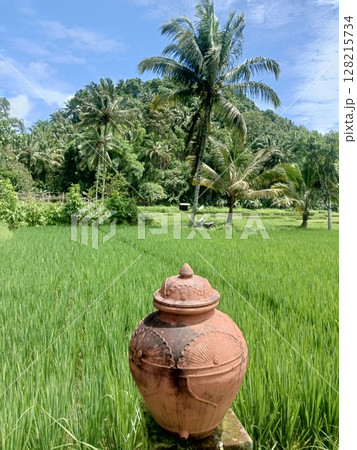 old clay pot in the rice field 128215734