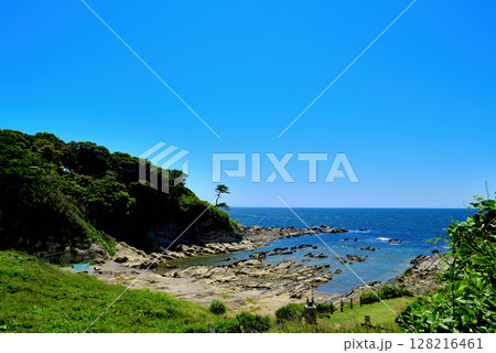 三浦半島　荒崎リアス式海岸 128216461