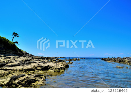 三浦半島 荒崎リアス式海岸 三浦半島 荒崎リアス式海岸 128216465