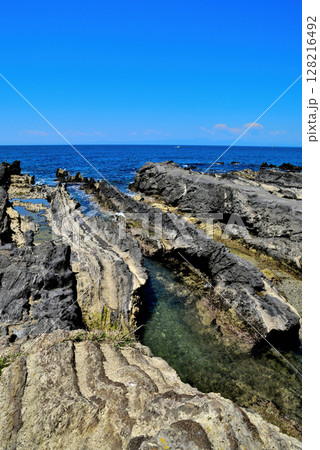三浦半島　荒崎リアス式海岸 128216492