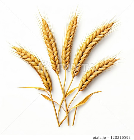 an AI Image Generator, Golden Wheat Stalks Isolated 128216592