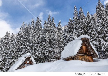 雪に覆われた冬の世界文化遺産　白川村（白川郷）　岐阜県 ：1月 128216759