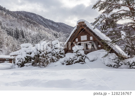 雪に覆われた冬の世界文化遺産 白川村(白川郷) 岐阜県 :1月 雪に覆われた冬の世界文化遺産 白川村(白川郷) 岐阜県 :1月 128216767