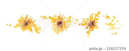 ひまわりのベクターイラスト。水彩タッチで描いた夏の向日葵背景。 128217159