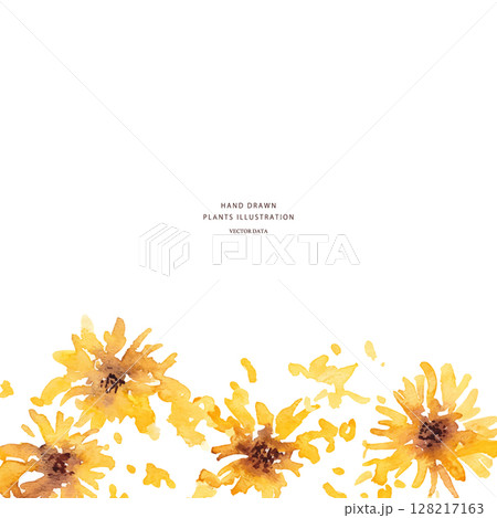 ひまわりのベクターイラスト。水彩タッチで描いた夏の向日葵背景。 128217163
