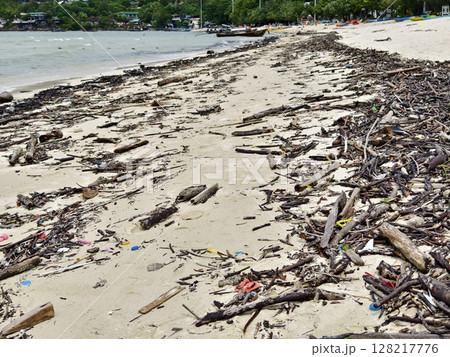 A beach heavily littered with wood and plastic A beach heavily littered with wood and plastic 128217776