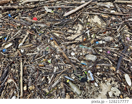 A beach heavily littered with wood and plastic A beach heavily littered with wood and plastic 128217777