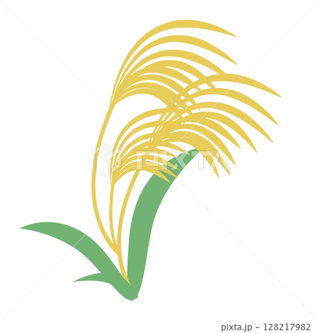 秋の素材ススキ単品 128217982