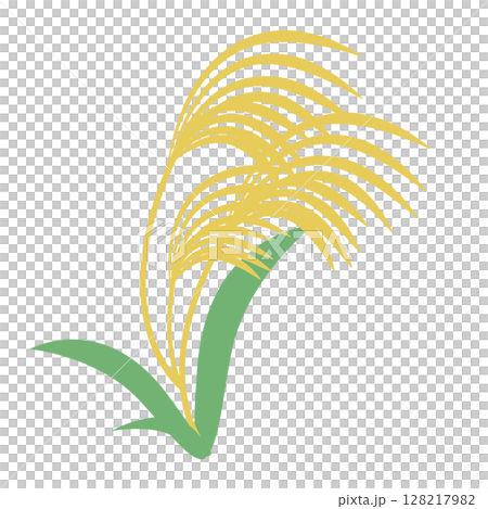 秋の素材ススキ単品 128217982