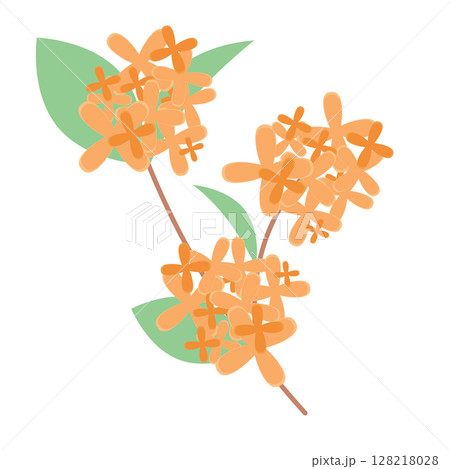 秋の花金木犀のイラスト 128218028