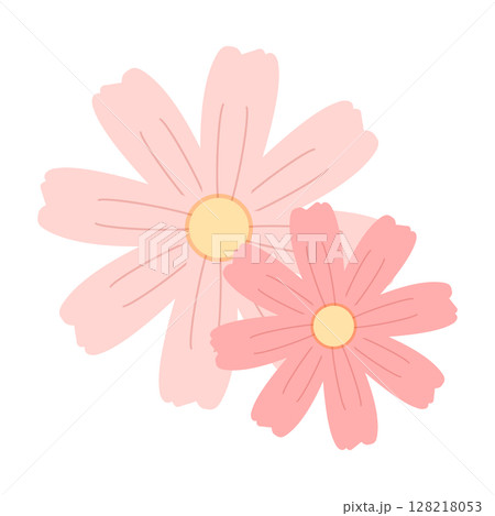 秋の花コスモスのイラスト 128218053