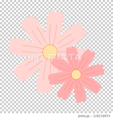 秋の花コスモスのイラスト 128218053
