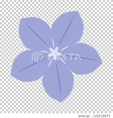 秋天的素材，風鈴草插圖 128218074