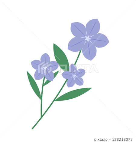 秋の素材桔梗のイラスト 128218075