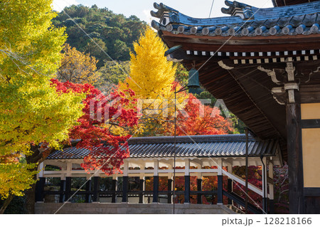 南禅寺の境内、色鮮やかな秋の紅葉と伝統的な寺の屋根。京都府、京都市、左京区 128218166
