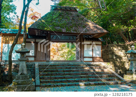 苔むした茅葺き屋根の山門が美しい、京都鹿ヶ谷の法然院。京都府、京都市、左京区 128218175