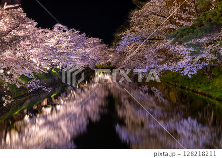 青森県弘前市下白銀町弘前公園 弘前城外濠を囲むソメイヨシノの桜並木ライトアップと水面の水鏡 青森県弘前市下白銀町弘前公園 弘前城外濠を囲むソメイヨシノの桜並木ライトアップと水面の水鏡 128218211