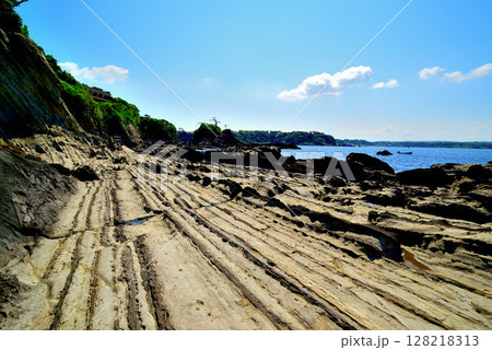三浦半島 荒崎リアス式海岸 三浦半島 荒崎リアス式海岸 128218313