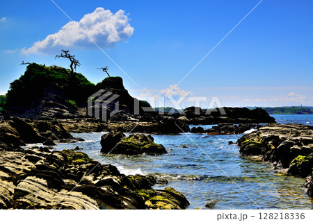 三浦半島 荒崎リアス式海岸 三浦半島 荒崎リアス式海岸 128218336