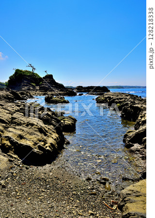 三浦半島　荒崎リアス式海岸 128218338