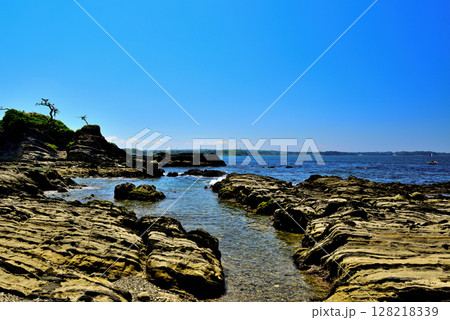 三浦半島 荒崎リアス式海岸 三浦半島 荒崎リアス式海岸 128218339