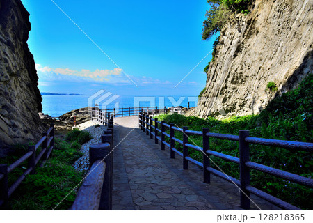 三浦半島　荒崎リアス式海岸 128218365