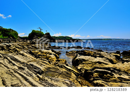 三浦半島　荒崎リアス式海岸 128218389