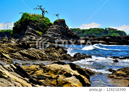 三浦半島　荒崎リアス式海岸 128218390
