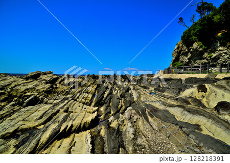 三浦半島　荒崎リアス式海岸 128218391