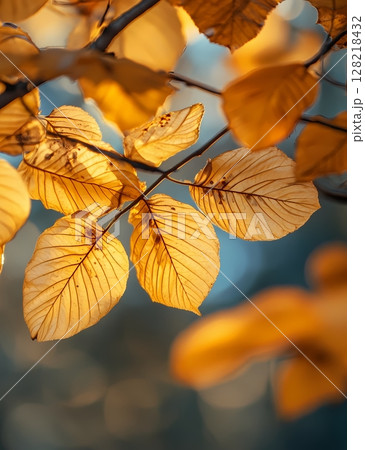 植物 工場 プランツ 128218432