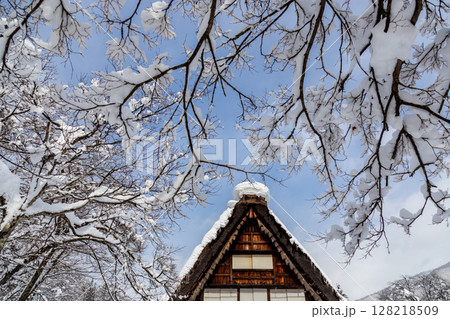 雪に覆われた冬の世界文化遺産 白川村(白川郷) 岐阜県 :1月 雪に覆われた冬の世界文化遺産 白川村(白川郷) 岐阜県 :1月 128218509