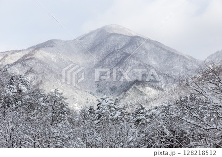 雪に覆われた冬の世界文化遺産 白川村(白川郷) 岐阜県 :1月 雪に覆われた冬の世界文化遺産 白川村(白川郷) 岐阜県 :1月 128218512