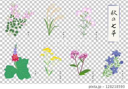 Autumn seven herbs set 128218593
