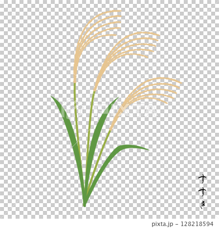 Seven autumn herbs, Japanese silver grass 128218594