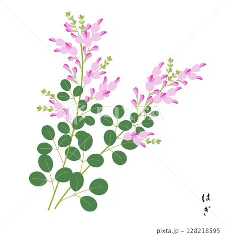 秋の七草、萩 秋の七草、萩 128218595