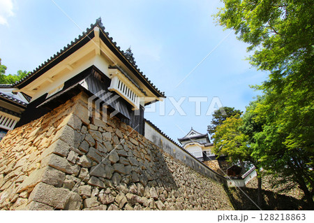 備中松山城 128218863