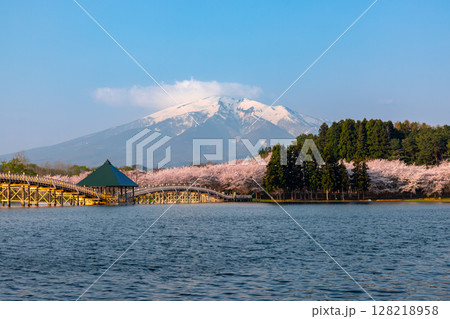 青森県北津軽郡鶴田町　津軽富士見湖に架かる木造三連太鼓橋の鶴の舞橋と富士見湖パークの桜と残雪の岩木山 128218958