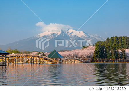青森県北津軽郡鶴田町　津軽富士見湖に架かる木造三連太鼓橋の鶴の舞橋と富士見湖パークの桜と残雪の岩木山 128218959