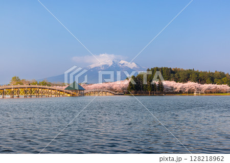 青森県北津軽郡鶴田町 津軽富士見湖に架かる木造三連太鼓橋の鶴の舞橋と富士見湖パークの桜と残雪の岩木山 青森県北津軽郡鶴田町 津軽富士見湖に架かる木造三連太鼓橋の鶴の舞橋と富士見湖パークの桜と残雪の岩木山 128218962