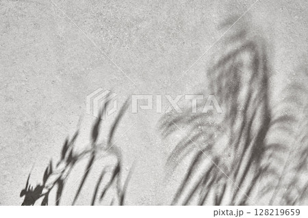Minimal Natural Light and Shadow Composition for Lifestyle and Background Use. 128219659